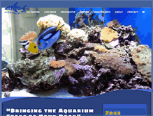 Tablet Screenshot of fishguybradenton.com